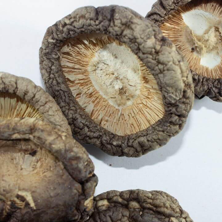 Mushroom: Shiitake